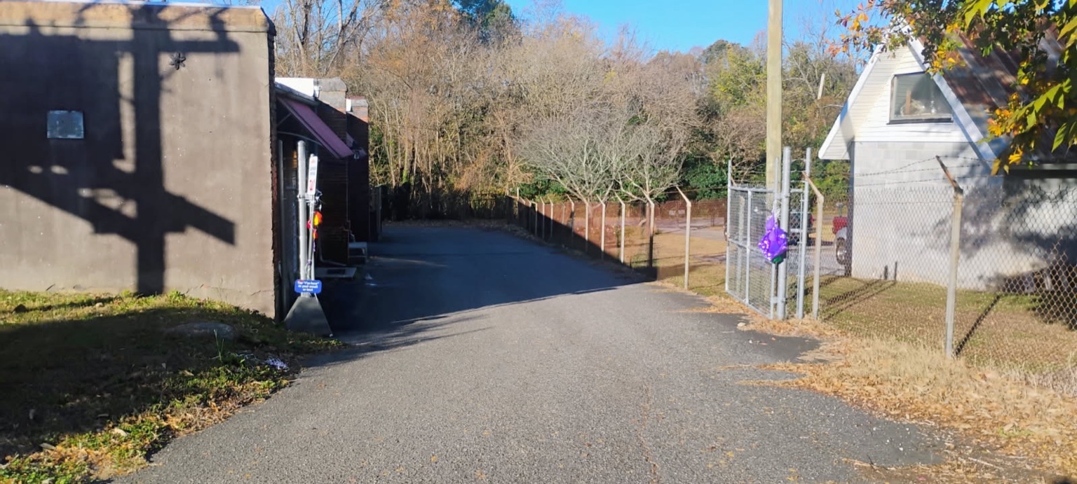 Narrow drive with purple balloon